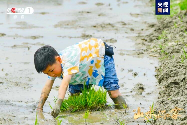 (转载)黑土地上锄野豆,天府粮仓迎丰收,《山水间的家》解锁“丰”景“密码”