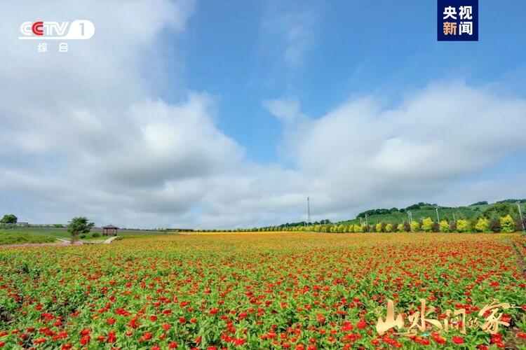 (转载)黑土地上锄野豆,天府粮仓迎丰收,《山水间的家》解锁“丰”景“密码”