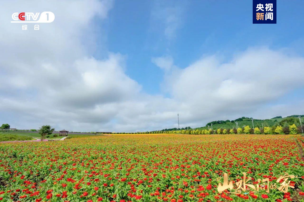 (转载)黑土地上锄野豆,天府粮仓迎丰收,《山水间的家》解锁“丰”景“密码”