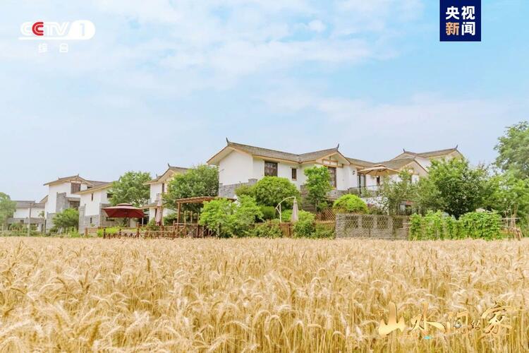 (转载)黑土地上锄野豆,天府粮仓迎丰收,《山水间的家》解锁“丰”景“密码”