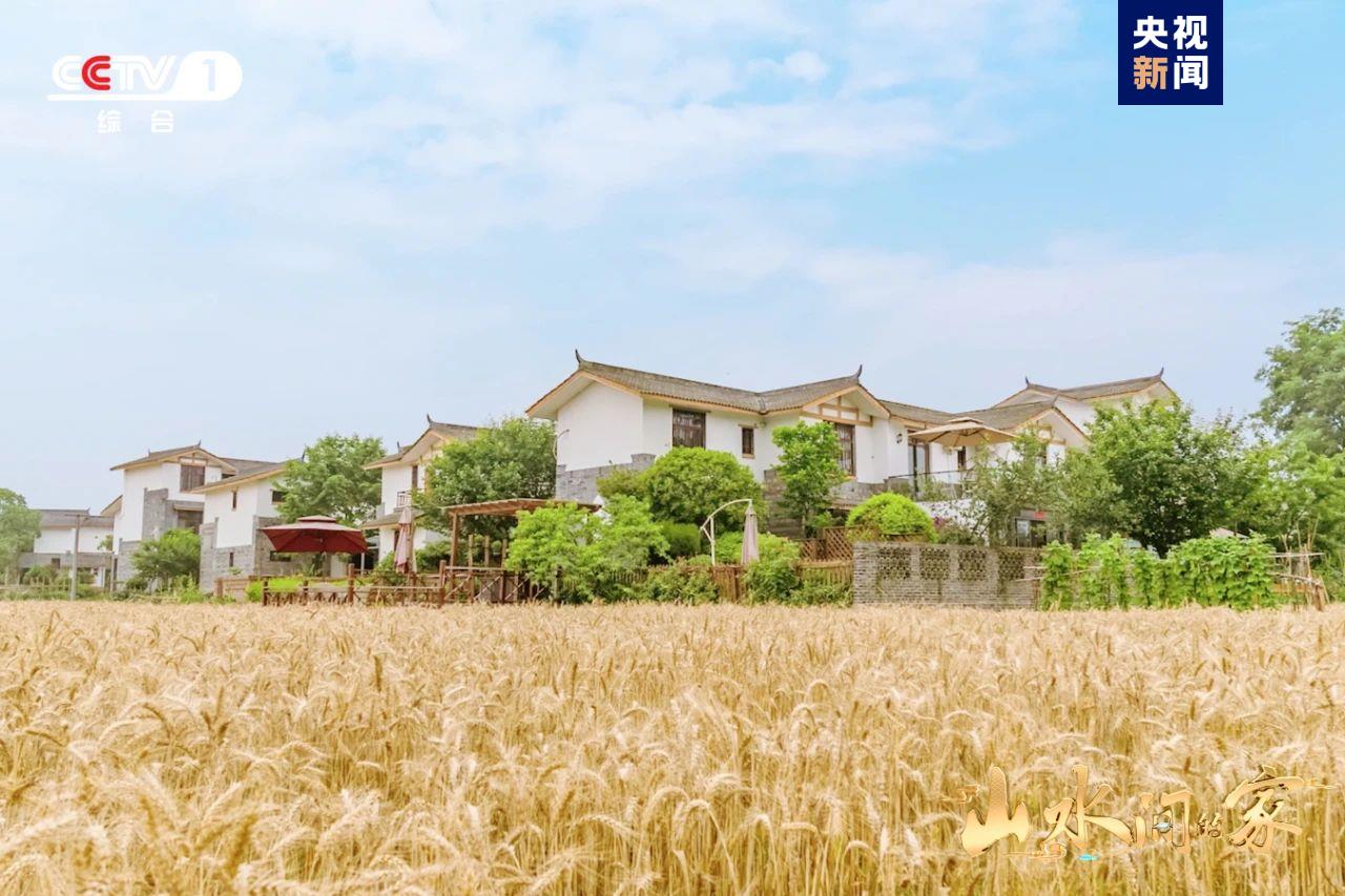 (转载)黑土地上锄野豆,天府粮仓迎丰收,《山水间的家》解锁“丰”景“密码”