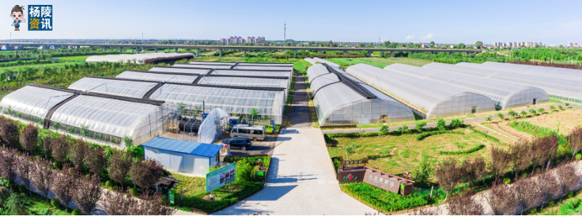 第30届农高会田间展“群星”亮相 满满科技范儿_fororder_微信图片_20230904152851_3