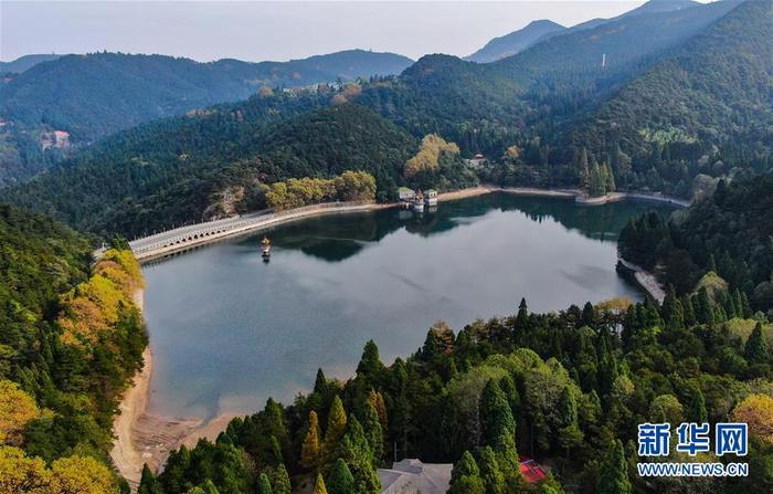 图片默认标题 图片默认标题_fororder_3