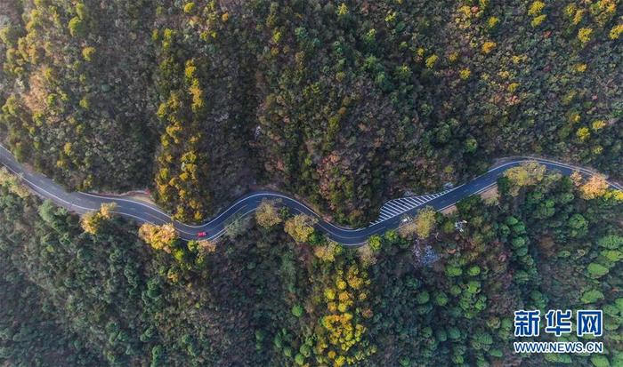 图片默认标题 图片默认标题_fororder_2