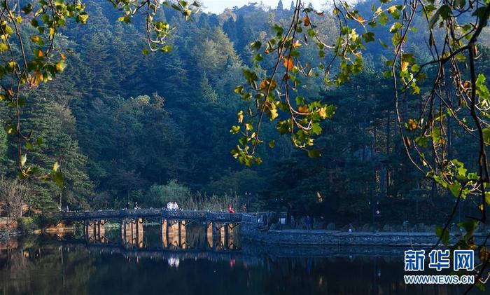 图片默认标题 图片默认标题_fororder_7