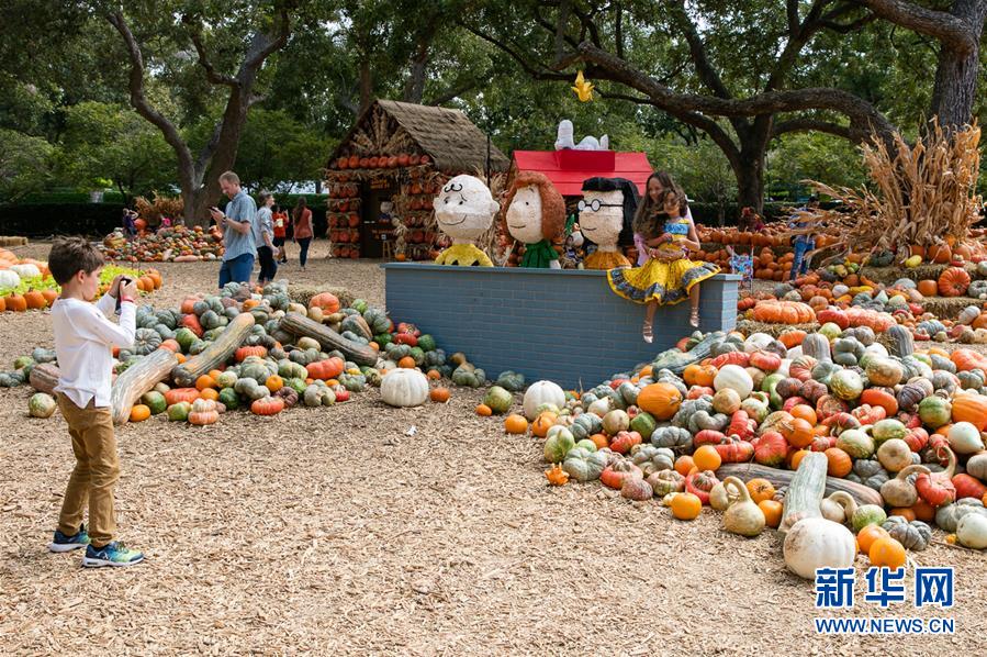 新华网：9万南瓜堆成美国“南瓜小镇”