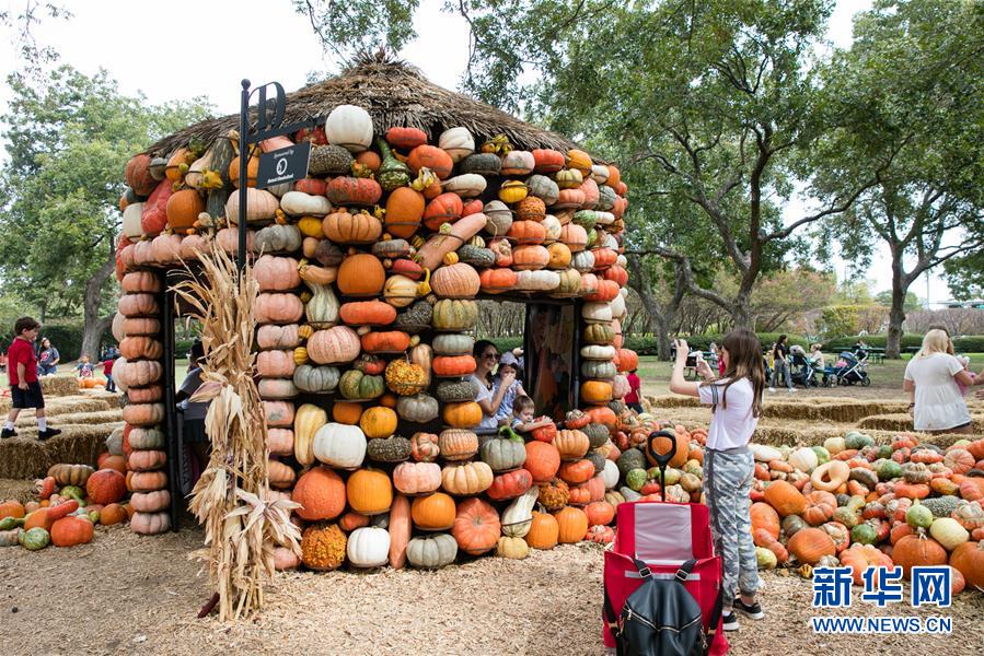 新华网：9万南瓜堆成美国“南瓜小镇”