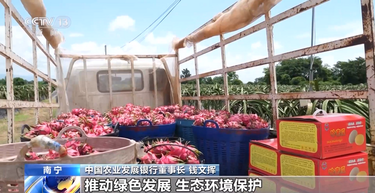 相互融合、交流!亚太24个国家共同聚焦绿色金融和粮食安全