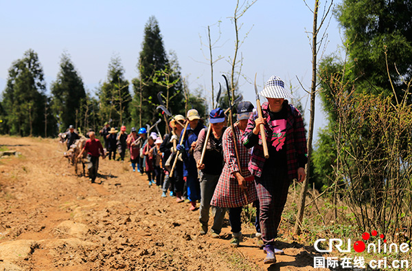 图片默认标题_fororder_植树队伍向李子垭走来