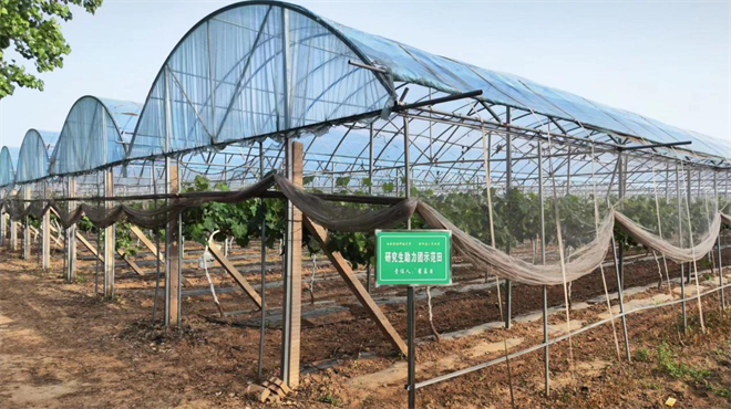 “90”后大学生的驻镇帮扶记_fororder_图片1