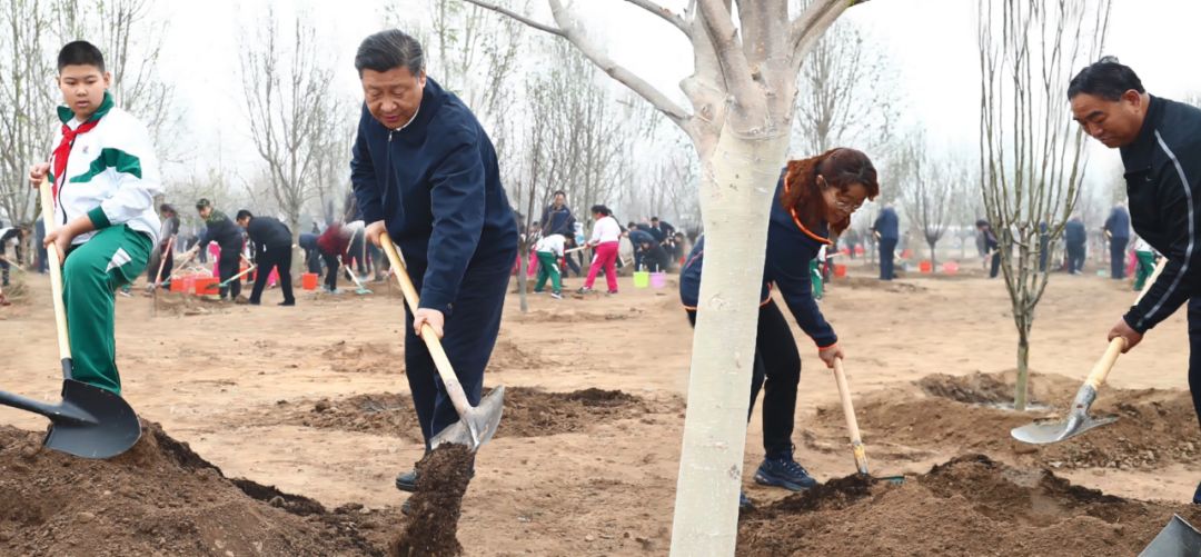 这是美丽的约定！