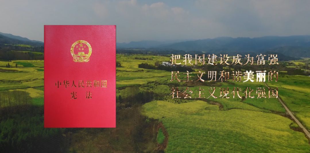 这是美丽的约定！
