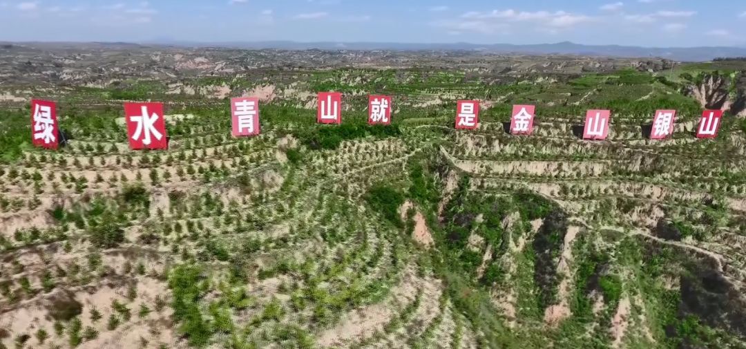 这是美丽的约定！