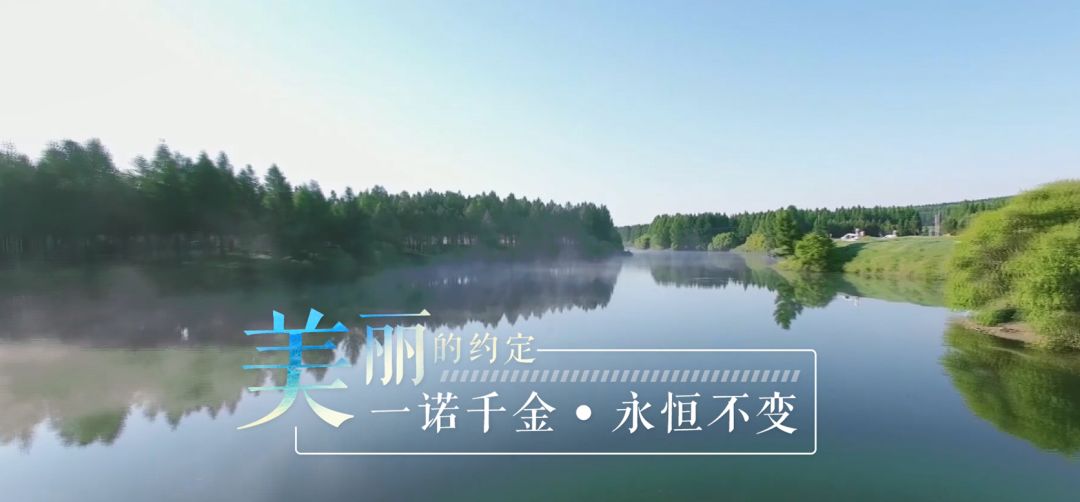 这是美丽的约定！