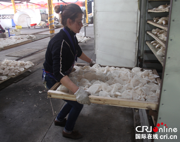 图片默认标题_fororder_烘烤竹荪