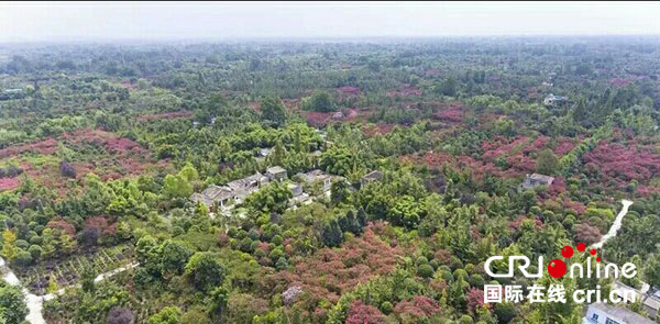 图片默认标题_fororder_紫薇综合体（温江区和盛镇 供图）