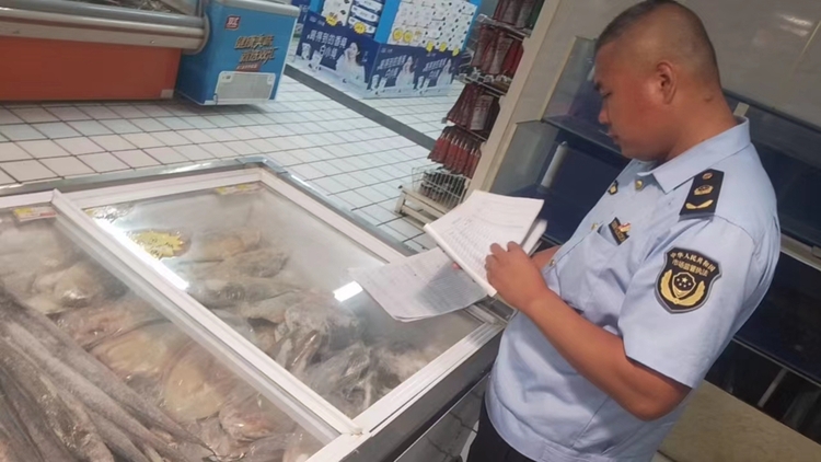 图片默认标题_fororder_市场监管人员抽查台账 摄影 贾林静