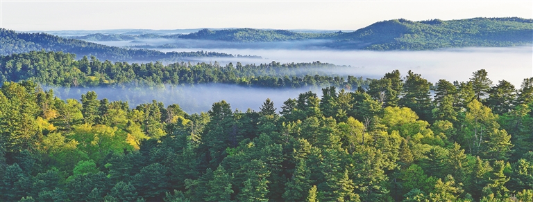 伊春,书写“林区三问”时代答卷
