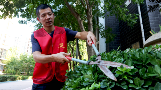 (原创)沧州市新华区:“擂台比武”展风采 党建引领促提升_fororder_沧州市新华区:“擂台比武”展风采 党建引领促提升646