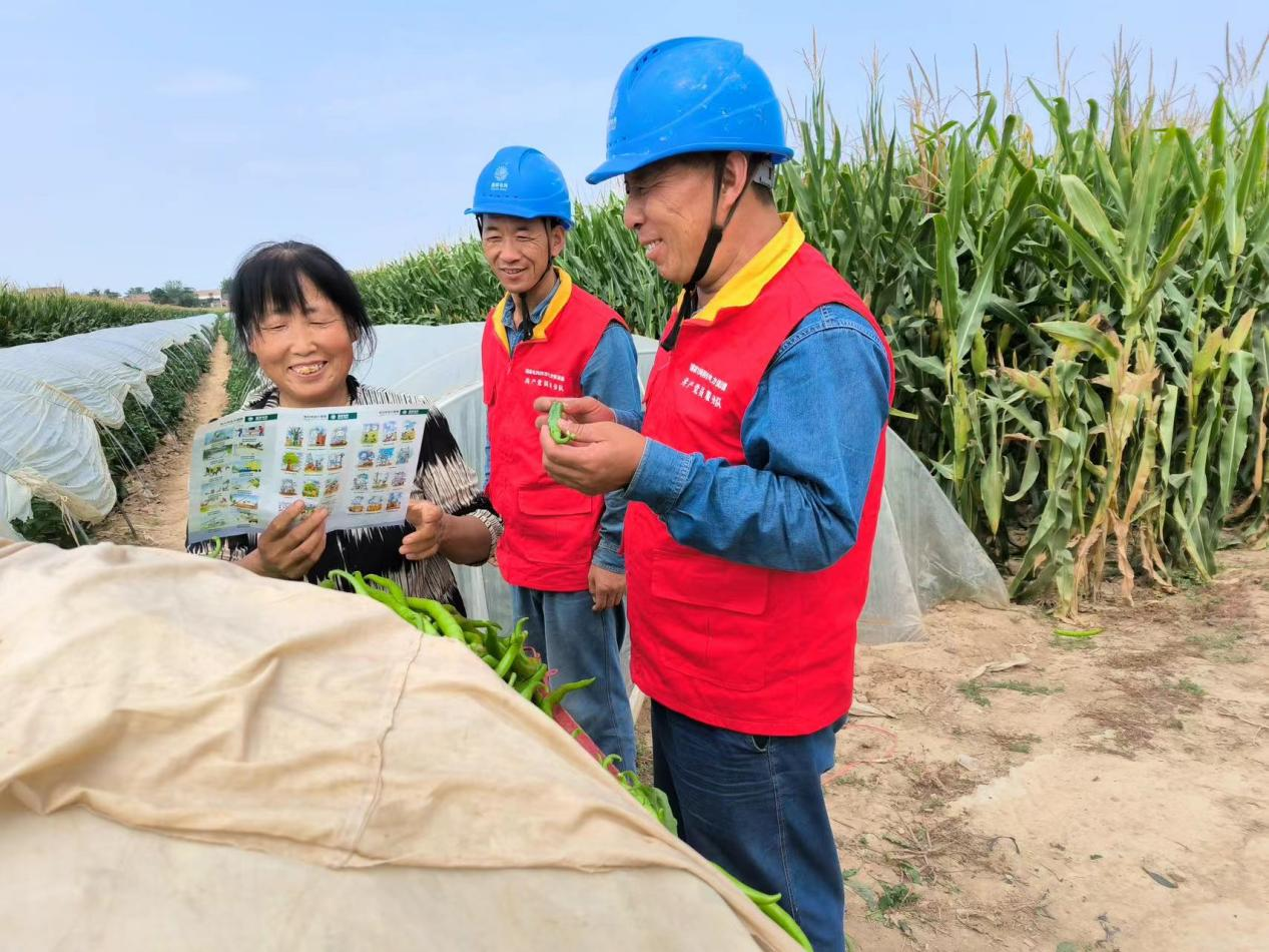 国网渭南供电公司:满格电力奏响秋粮丰收曲_fororder_图片4