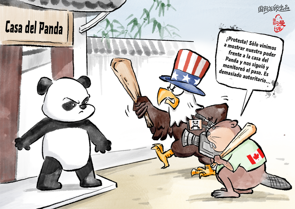 【Caricatura editorial】 Acusan falsamente al Panda e ignoran su propio error_fororder_说自己说受害者（西）