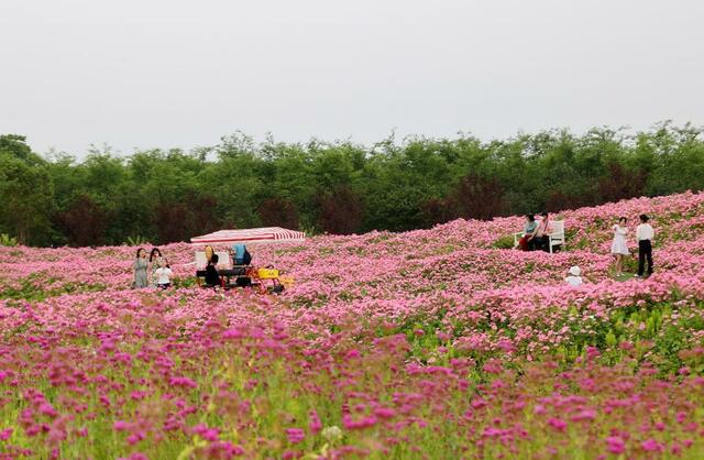 上海旅游节开幕在即 乐游亮点看过来 上海旅游节开幕在即 乐游亮点看过来