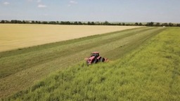 欧洲多国反对欧盟未延长乌农产品进口禁令 将继续禁止进口相关农产品