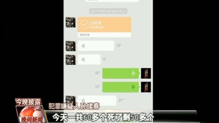 鸟贩子落网记 央视独家探秘野生鸟被药物催肥到上餐桌过程