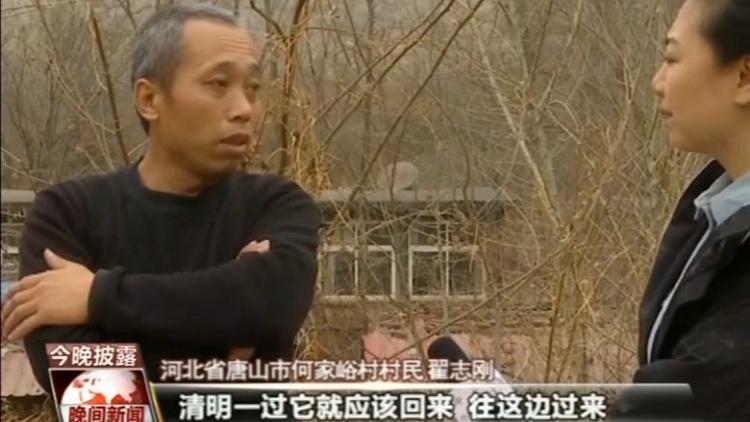 鸟贩子落网记 央视独家探秘野生鸟被药物催肥到上餐桌过程