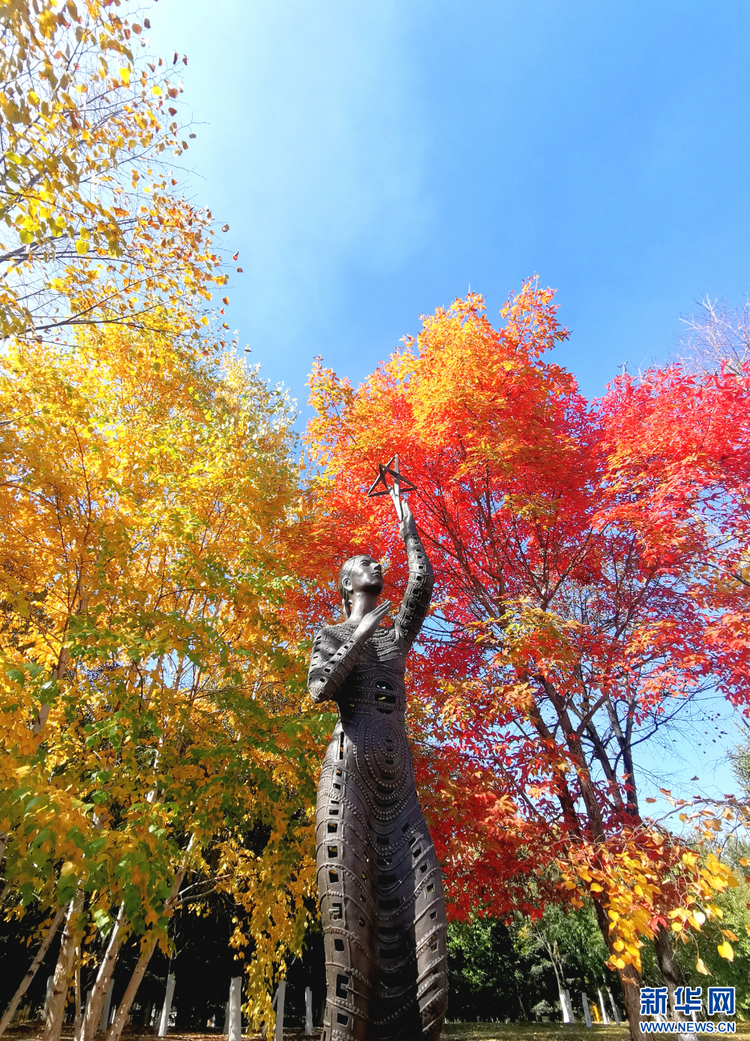 长春：多彩秋景美如画