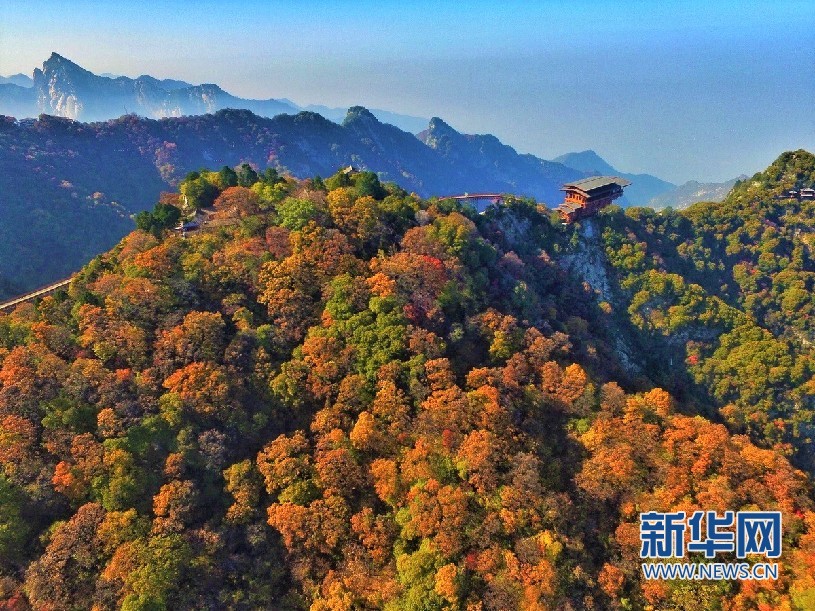 秋染秦岭 少华山漫山红叶美如画