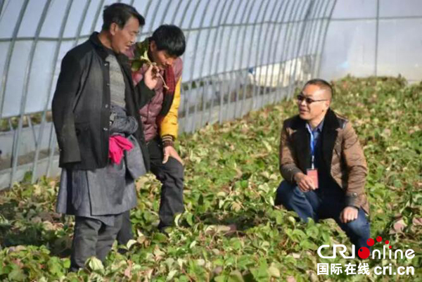 图片默认标题_fororder_呷巴乡铁索村蔬菜大棚里，技术人员正在给村民讲授种植技术