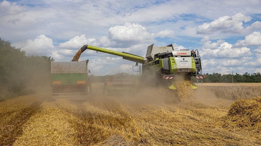 乌克兰经济部:就波兰、匈牙利等国家禁止进口乌粮食向世贸组织提起诉讼