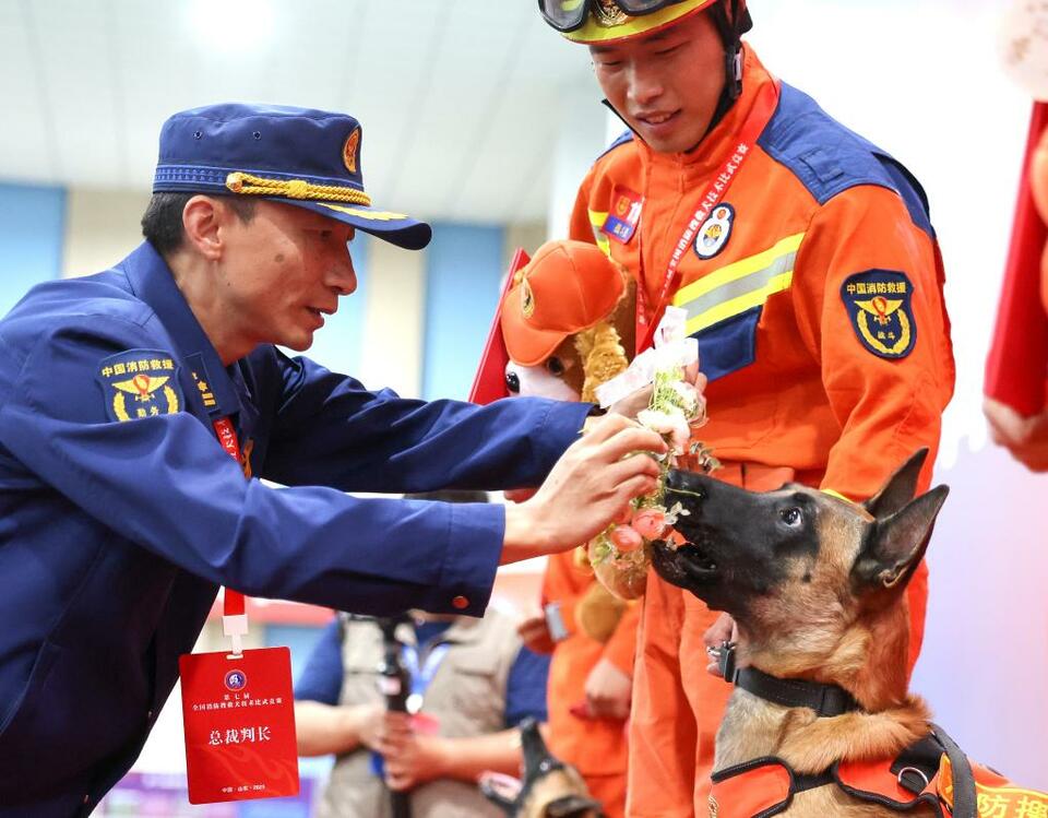 第七届全国消防搜救犬技术比武竞赛在济南举行