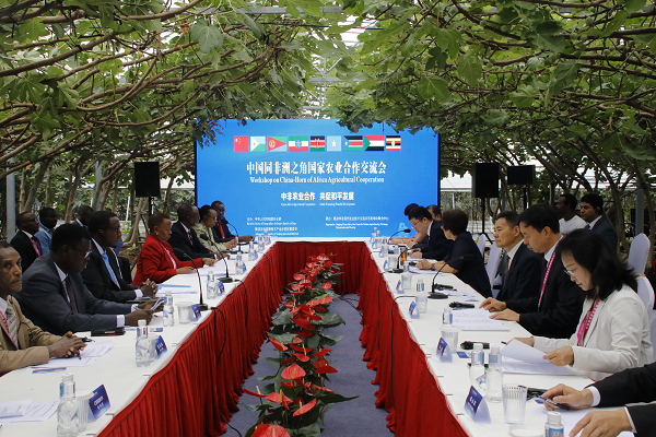 中国同非洲之角国家农业合作交流会在杨陵召开_fororder_图片2