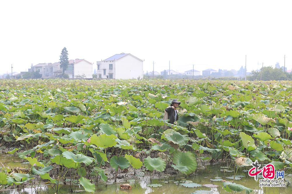 【中国网】【美丽河湖】长沙：呵护江河湖库“毛细血管” 小微水