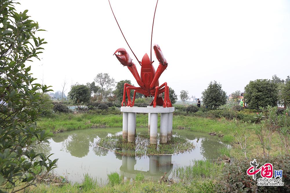 【中国网】【美丽河湖】长沙：呵护江河湖库“毛细血管” 小微水