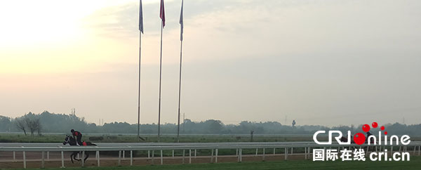 图片默认标题_fororder_1