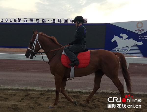 图片默认标题_fororder_3