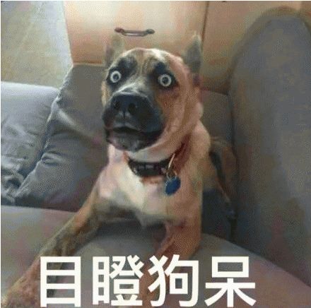 中国军网■你敢挑战吗？