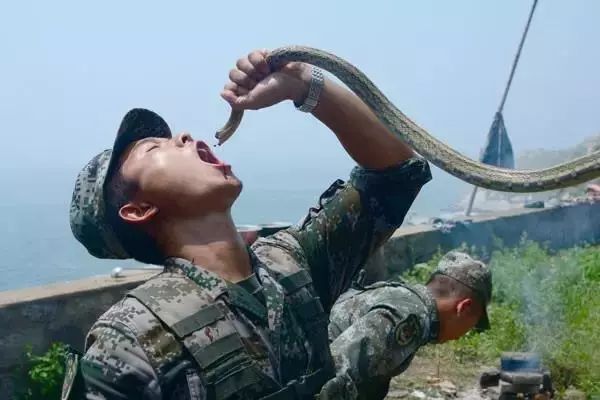 中国军网■你敢挑战吗？