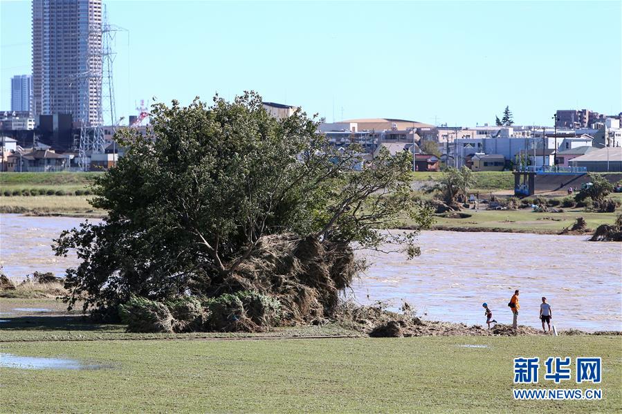 新华网■台风“海贝思”登陆日本影响持续