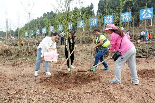 （导航成都）全民共建龙泉山城市森林公园 成都邀你来植树