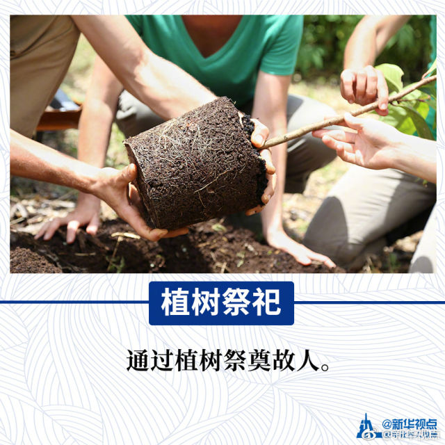 文明祭扫，从我做起