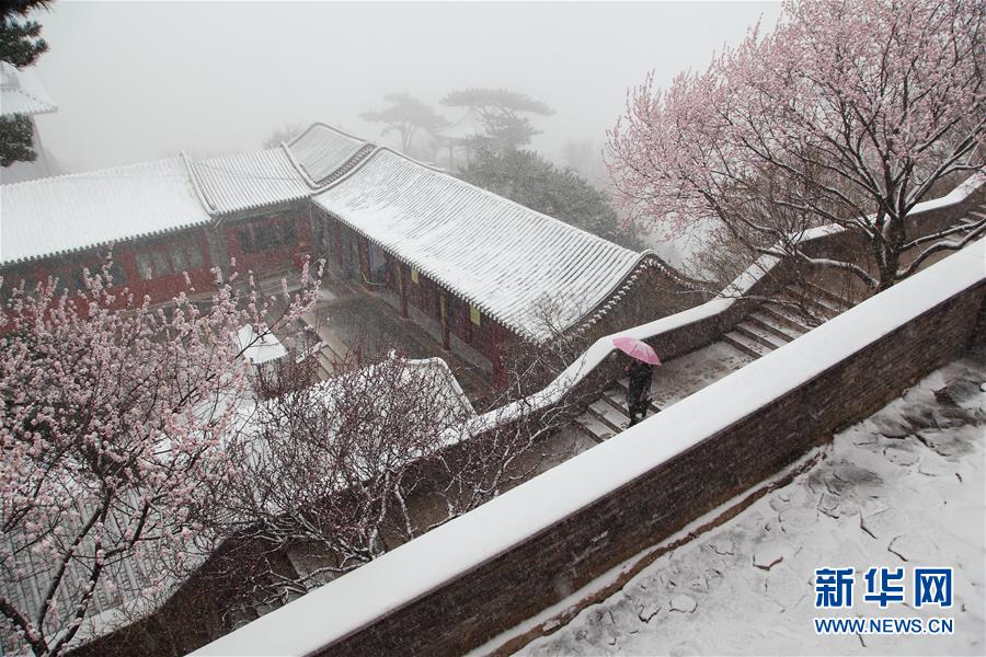北京降雪(组图)