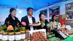 天水市甘谷县举行2023年中国农民丰收节活动