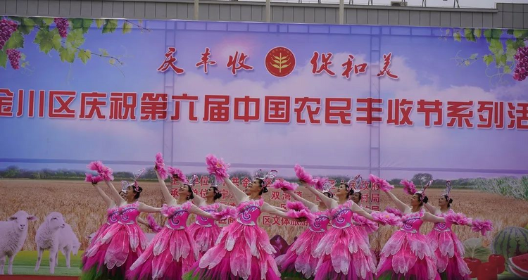 金昌金川：第六届中国农民丰收节系列活动在双湾镇中心文化广场举行_fororder_图片3