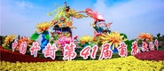 數百萬株名品菊花驚艷亮相 清明上河園誠邀四海賓客觀景賞菊