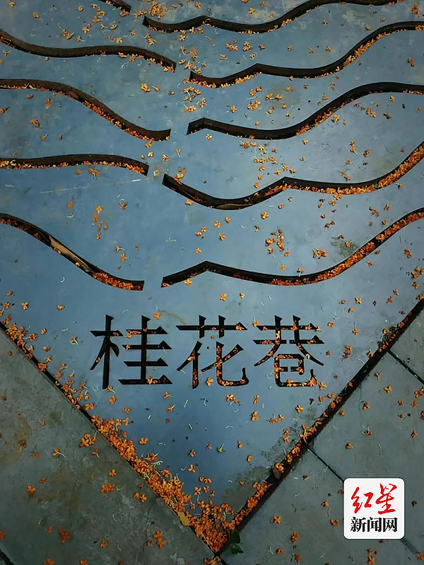 (转载)一条“桂花味”的city walk路线请查收 公园城市《赏桂地图》出炉_fororder_1695887865876
