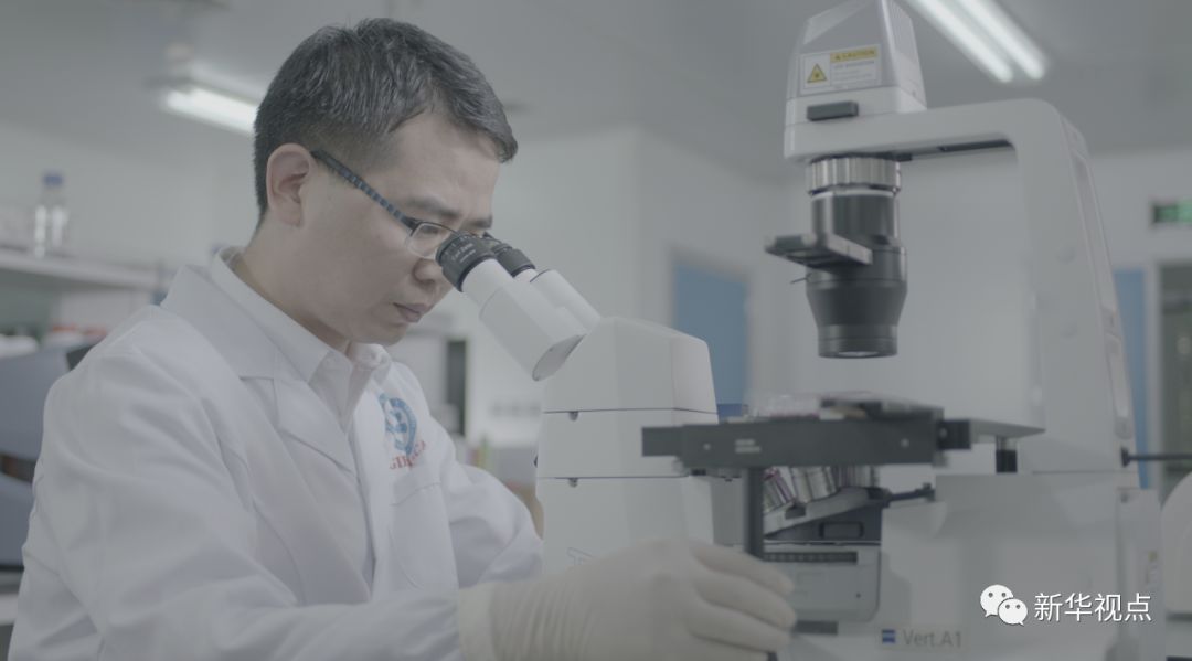 大发现！ 中国科学家让“返老还童”在实验室里成为现实！